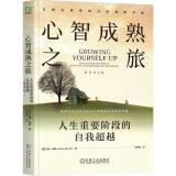 心智成熟之旅：人生重要阶段的自我超越 原书第2版