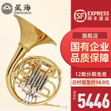 星海（XINGHAI INSTRUMENT）圆号西洋乐器降B调喇叭口可拆卸圆号四按键降B/F双排圆号 XFH-300型号(双排圆号+双号嘴)