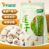 十月稻田 莲子 250g 半斤 湘潭产去芯磨皮白莲子 桂圆百合银耳羹煲汤食材 
