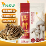 十月稻田 鹿茸菇 150g 高蛋白 脆嫩提鲜 山珍菌菇干货 炒菜煲汤火锅食材