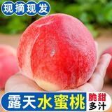 飘香果度山西水蜜桃子当季现摘脆甜桃子水蜜桃新鲜水果 净重4.5斤中果【单果100g+】
