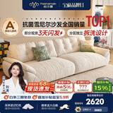 帕沙曼云朵沙发布艺可拆洗小户型客厅奶油风雪尼尔沙发多功能 2630ZF 【全拆洗款】2.8米大双人位#2900ZF 雪尼尔TY74: 羽绒+轻弹棉+紫罗兰+竹炭海绵