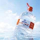 LONGLIFE巴马百年大桶水母婴水巴马弱碱性天然山泉水10L4桶整箱高端水饮