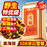 福东海10A野生昆仑雪菊100克  正宗【新疆特级】特产天山雪菊冰菊花茶