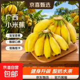 京喜加新鲜现摘正宗小米蕉皇帝蕉小香蕉软糯可口水果宝宝蕉 4斤 带箱