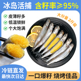 纯色本味冷冻冰岛全籽多春鱼 净重2斤 满籽 烧烤 生鲜食材鱼干纯鱼肉