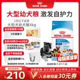 皇家狗粮幼犬奶糕幼犬狗粮宠物大型犬MAS30全价犬粮≤2月4KG