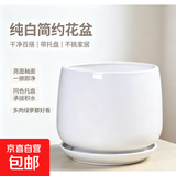 北欧花盆陶瓷白色清仓特价创意个性大号特大号带托盘家用阳台简约 白色 大
