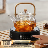 忆壶茶（YIHUTEA）煮茶壶电陶炉煮茶器烧水壶泡茶炉养生壶套装泡茶壶加厚功夫茶具 1500w自动断电陶炉+煮茶壶1L
