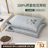 艾薇荞麦枕头夏季100%荞麦壳带冰丝枕套枕芯一个装 叶子灰 35*55cm