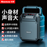 纽曼（Newmine）K503无线蓝牙音箱户外大音量广场舞音响手提便携式小型家用K歌音乐播放器地摊摆摊收款喇叭 无麦版