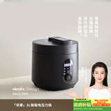 olayks立时 电压力锅 高压锅 家用高压电饭锅快煮预约压力锅小型 3L适用2-3人用 YBW3001A