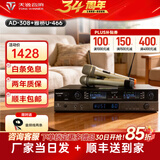 天逸（Winner）AD-308专业版卡拉ok混响器客厅家用ktv数字前级话筒效果器防啸叫K歌唱歌 AD-308+专业麦克风
