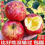 正宗26年新果云南昭通冰糖心丑苹果新鲜水果现摘脆甜野生富士苹果 10斤净重90mm以上