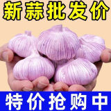 【超低价】优质批发大蒜头干蒜紫皮大蒜头干蒜特大新鲜大蒜子包邮 山东新大蒜 0g -吃面必备小果 1500g