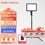 神牛（Godox） 补光灯 P120C 摄影灯 led平板灯 摄像灯 影视拍照 婚庆 常亮灯光 P120C补光灯+6000电池+充电器+2米灯架 双色温