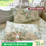 艾薇 A类枕头套枕套一对纯棉家用全棉单人枕套枕芯套 绿野仙踪48*74cm