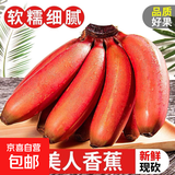 正宗红香蕉红皮美人蕉当季沐真咖啡蕉软糯香甜孕妇新鲜水果香蕉 红香蕉净重3斤装
