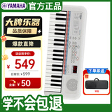 雅马哈（YAMAHA）PSS-E30 电子琴多功能初学者音感小白琴生日儿童节礼物标配+琴包