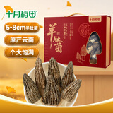 十月稻田羊肚菌礼盒 250g（5-8cm）云南产 鸡汤煲汤火锅 中秋 企业团购