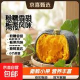 京喜加百万复购贝贝南瓜板栗味小南瓜正宗新鲜粉糯香甜单果100g起 贝贝南瓜 500g 小果