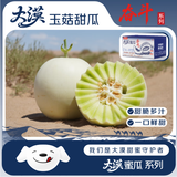 京鲜生 甘肃大漠玉菇甜瓜 净重6-7斤2粒礼盒装 生鲜水果源头直发