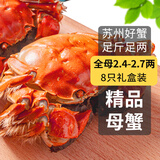 【活蟹】乾澄大闸蟹鲜活 全母蟹2.4-2.7两 8只 去绳足重六月黄螃蟹海鲜礼盒源头直发