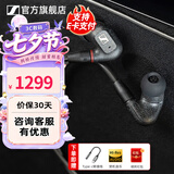 森海塞尔IE300 IE200 IE600 IE900有线耳机旗舰级HiFi音乐高保真动圈入耳式耳挂耳塞五一出游季生日礼物 IE300【进阶高保真HIFI耳机】