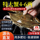 【冷冻】昌鲜园舟山梭子蟹新鲜 冷冻4-6两/只 4斤装 26年新蟹源头直发包邮飞蟹白蟹