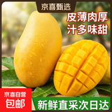 芒果金煌芒水仙玉芒果青皮大芒果甜心芒新鲜水果次日达送礼广西 净重8斤装【蕞划算】 甄选特级果【单果250g+】