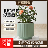 陶瓷花盆绿植盆栽亚光北欧风简约花盆大号桌面绿植盆送塑料托盘 绿色 中号（13*13*12.3）
