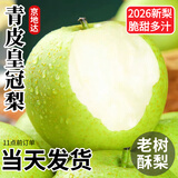 京地达梨青皮皇冠梨砀山梨青梨子水果净重8.8斤单果220g+源头直发