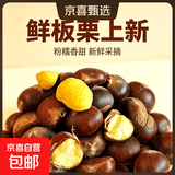 【26年新下树】云南新鲜板栗头茬果种植户直供非油栗可生吃 云南板栗头茬果 4斤