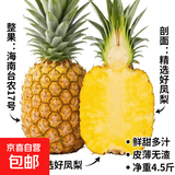 海南金钻凤梨台农17号手撕菠萝新鲜水果生鲜特大整箱包邮送礼特产 小果1-1.3斤4-6个净重4.5斤