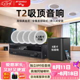 山水（SANSUI）T2 嵌入式吸顶音响音箱 5.1家庭影院音响套装  吊顶喇叭 音箱功放家用商用 家庭吸顶音响客厅环绕 T2【900W功放+6.5吋喇叭*5+8吋炮】
