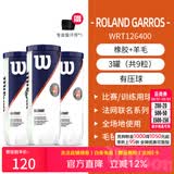 威尔胜（Wilson）美网专业比赛赛事用球上海大师赛全场地练习训练有压网球罐装球 【法网球*3筒】送吸汗带 新老包装更替 有压球