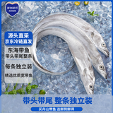 鲜到鲜得 东海带鱼3.6斤(11-13条) 带鱼整条 生鲜鱼类 中秋海鲜 源头直发