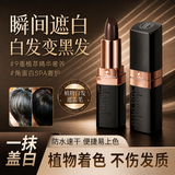 笛爱儿一次性遮白染发笔盖白神器不沾头皮天然植物口红式美发笔染发膏 【应急遮白】黑棕色 1支