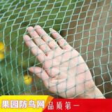 帅米果树防鸟罩防鸟用网果园尼龙网葡萄网樱桃网养殖网养鸡网养鸭网- （3cm孔）2米宽10米长