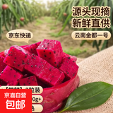红心火龙果 云南金都一号新鲜水果树上熟红肉火龙果京东快递  【尝鲜】2粒装 单果200g起