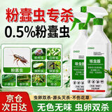 DAGO粉蠹虫杀虫剂蛀木虫实木头蛀虫药木材木地板家具防虫剂杀木虫除虫