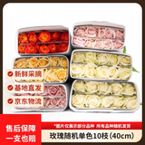 京东鲜花随机玫瑰10枝40cm起鲜切花礼品如意新鲜现采山东基地送礼源头直发