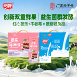 燕塘 原味酸奶饮品 200ml*16盒+芭乐不老莓酸奶饮品 200ml*16盒