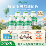 天然博士dha婴幼儿0-3岁藻油 小琥珀DHA藻油金标 【囤货优选】小琥珀藻油 60粒*6瓶 共360粒