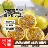 京喜加广西钦蜜9号黄金百香果青果发货当季新鲜大果黄皮果奶茶店水果 【小果3斤】约25-35个