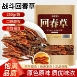 修年堂 回春草250g云南鲜干回春草泡酒料顶天柱不老草男性养生茶饮礼品