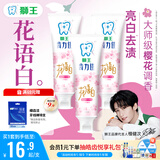 狮王(lion)花语白樱花牙膏140g*3牙齿美白清新