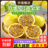 京喜加广西钦蜜9号黄金百香果青果发货当季新鲜大果黄皮果奶茶店水果 【大果1斤】约5-8个单果60-70g