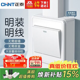 正泰（CHNT）明装开关插座面板 1c系列  一开双控