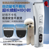 玄鸟宠物剃毛器狗狗电推剪专业宠物店专用泰迪比熊剃毛 P100+9.6刀头